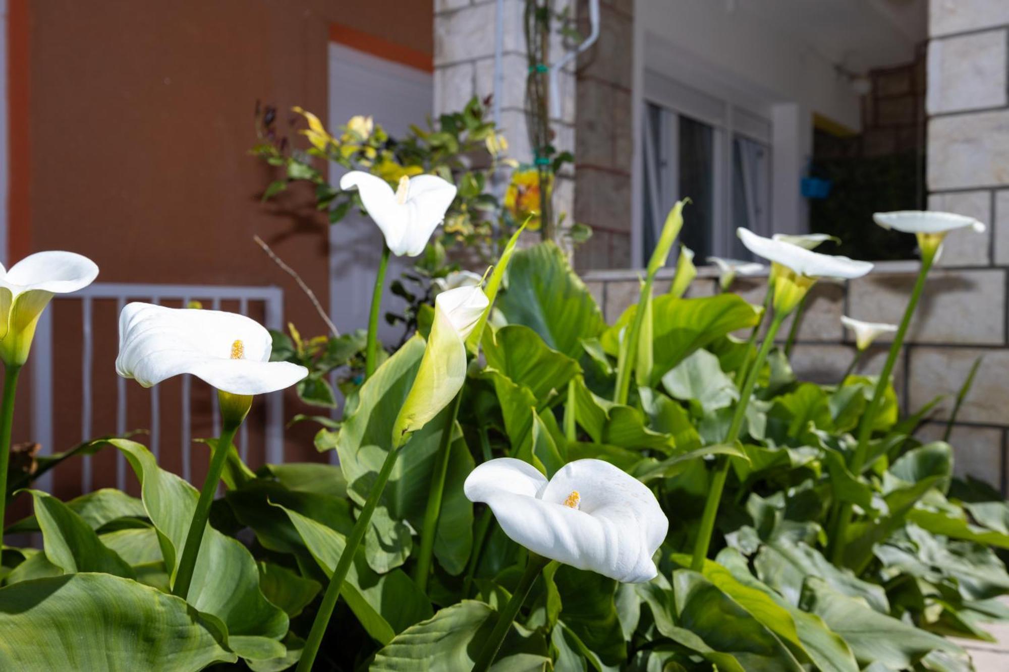 Apartments Marija Спліт Екстер'єр фото
